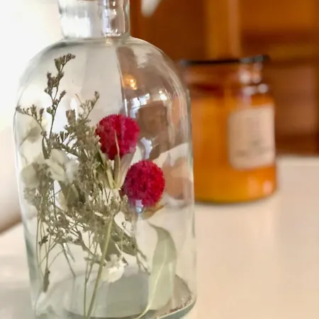 Le Carnot: City Centre With Parking Space *