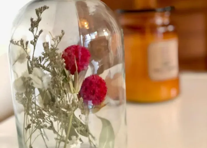 Le Carnot: City Centre With Parking Space *